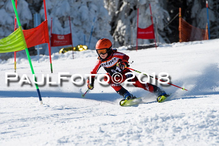 Ziener Cup WF, Finale, Quali + Parallelslalom, 24.03.2018