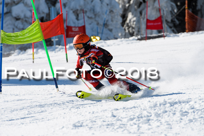 Ziener Cup WF, Finale, Quali + Parallelslalom, 24.03.2018