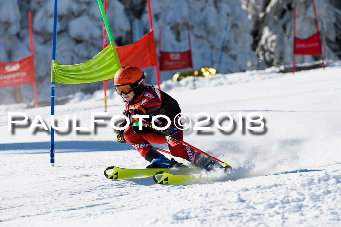 Ziener Cup WF, Finale, Quali + Parallelslalom, 24.03.2018