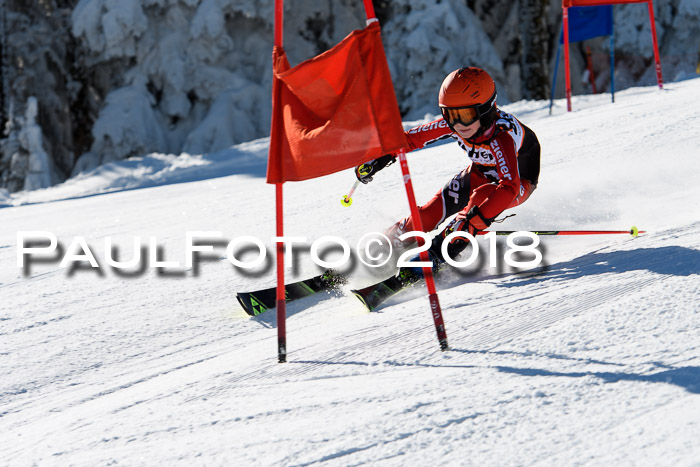 Ziener Cup WF, Finale, Quali + Parallelslalom, 24.03.2018