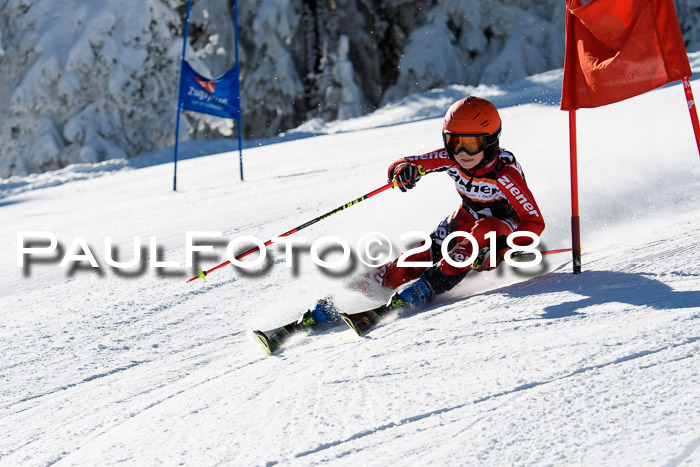 Ziener Cup WF, Finale, Quali + Parallelslalom, 24.03.2018