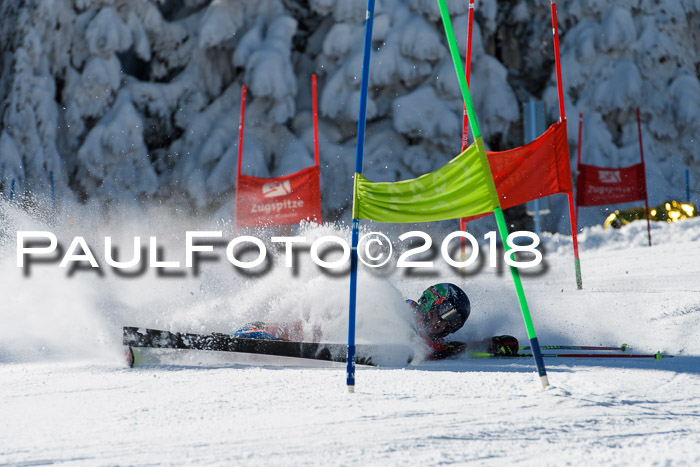 Ziener Cup WF, Finale, Quali + Parallelslalom, 24.03.2018