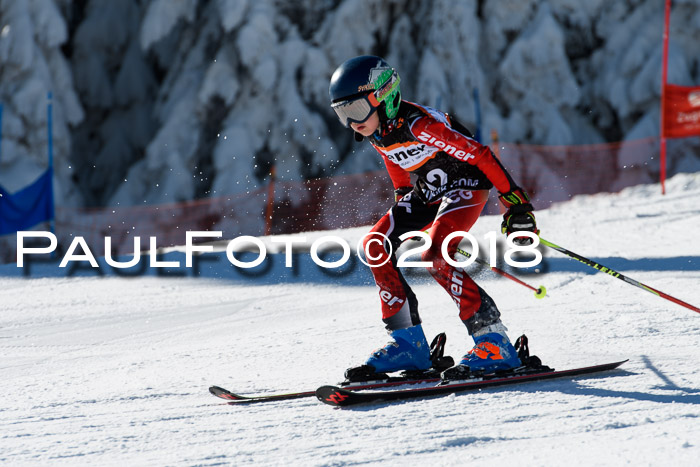 Ziener Cup WF, Finale, Quali + Parallelslalom, 24.03.2018