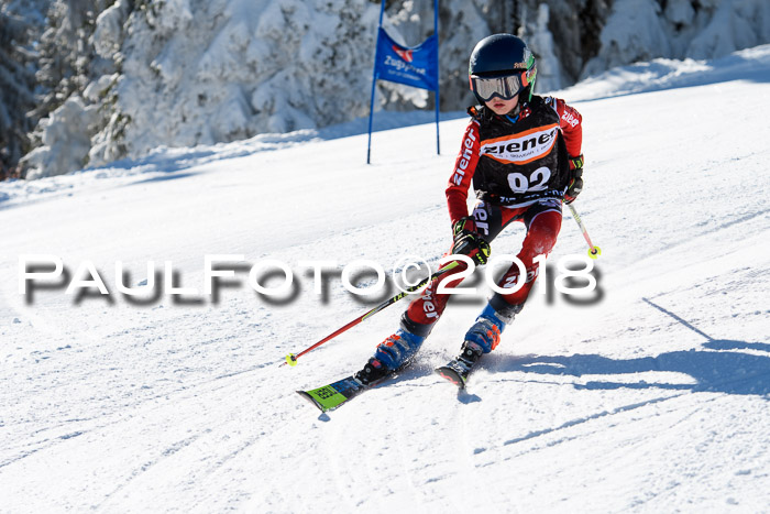 Ziener Cup WF, Finale, Quali + Parallelslalom, 24.03.2018