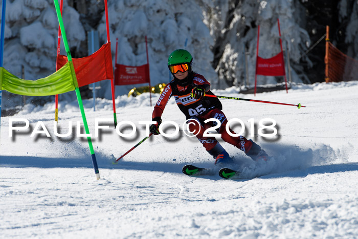 Ziener Cup WF, Finale, Quali + Parallelslalom, 24.03.2018