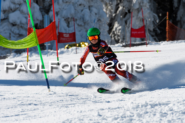 Ziener Cup WF, Finale, Quali + Parallelslalom, 24.03.2018