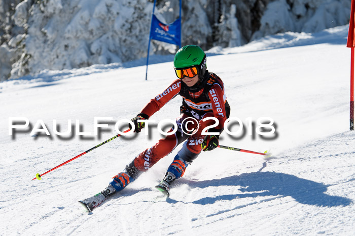 Ziener Cup WF, Finale, Quali + Parallelslalom, 24.03.2018