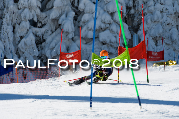 Ziener Cup WF, Finale, Quali + Parallelslalom, 24.03.2018