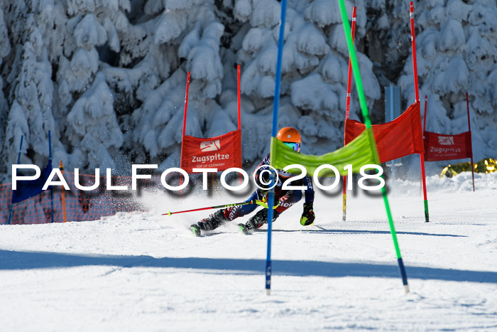 Ziener Cup WF, Finale, Quali + Parallelslalom, 24.03.2018