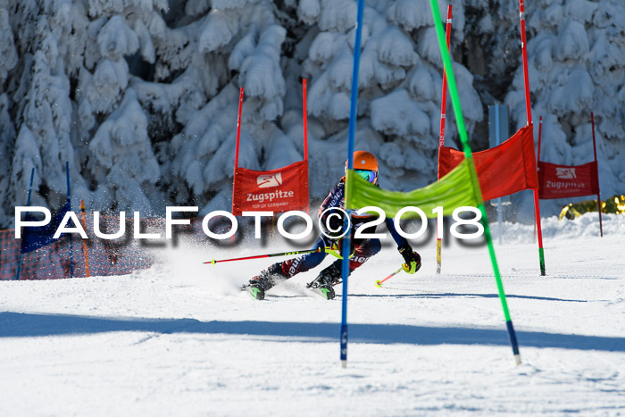 Ziener Cup WF, Finale, Quali + Parallelslalom, 24.03.2018