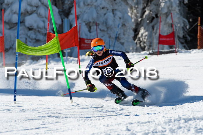 Ziener Cup WF, Finale, Quali + Parallelslalom, 24.03.2018