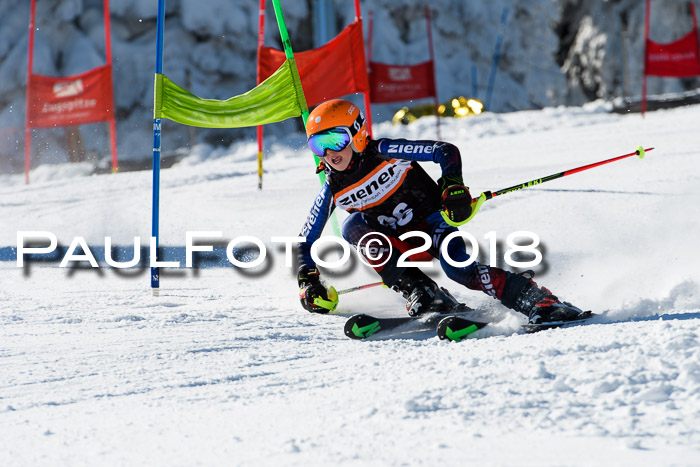 Ziener Cup WF, Finale, Quali + Parallelslalom, 24.03.2018