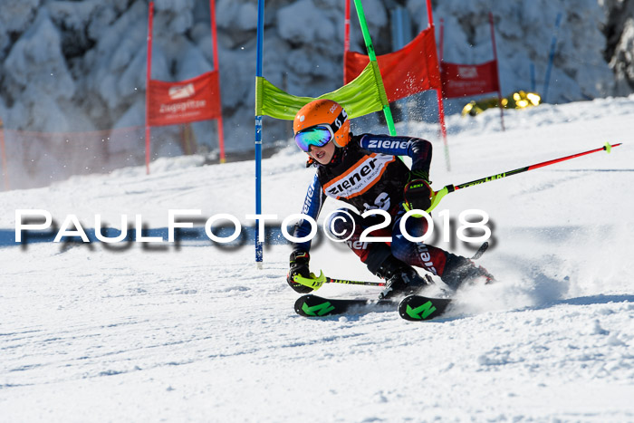 Ziener Cup WF, Finale, Quali + Parallelslalom, 24.03.2018