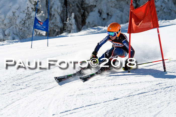 Ziener Cup WF, Finale, Quali + Parallelslalom, 24.03.2018