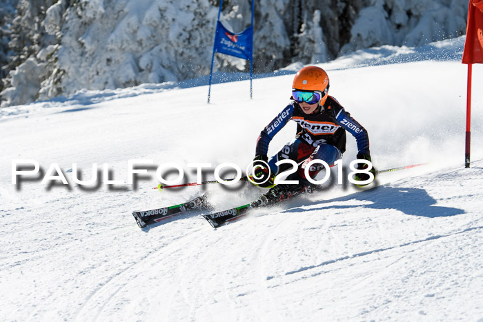 Ziener Cup WF, Finale, Quali + Parallelslalom, 24.03.2018