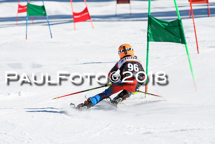 Ziener Cup WF, Finale, Quali + Parallelslalom, 24.03.2018