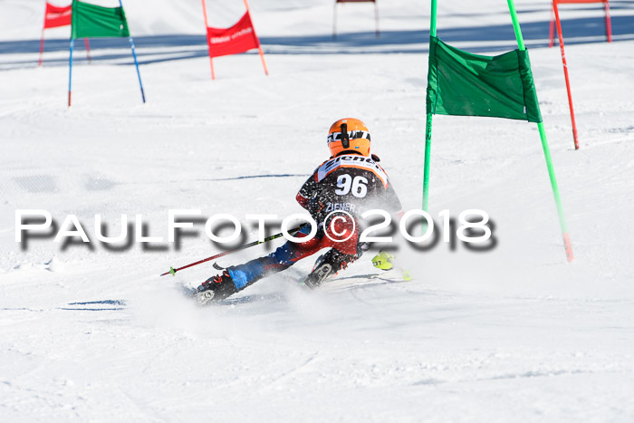 Ziener Cup WF, Finale, Quali + Parallelslalom, 24.03.2018