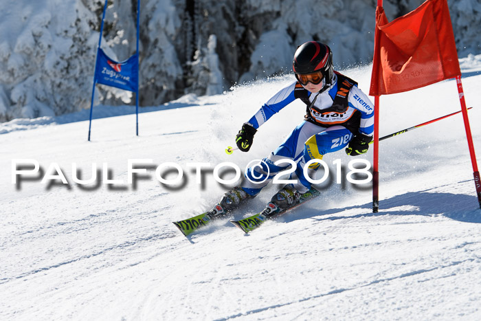 Ziener Cup WF, Finale, Quali + Parallelslalom, 24.03.2018