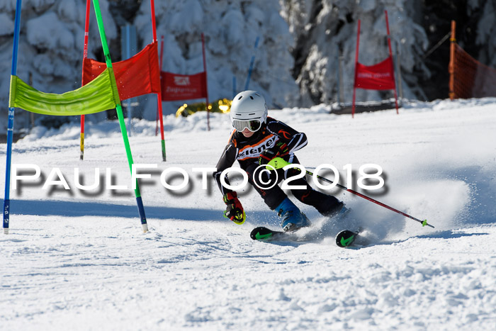 Ziener Cup WF, Finale, Quali + Parallelslalom, 24.03.2018