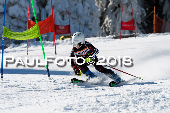 Ziener Cup WF, Finale, Quali + Parallelslalom, 24.03.2018