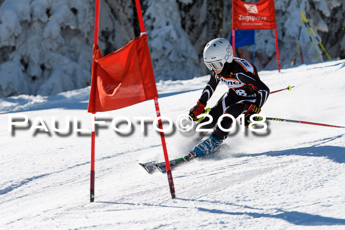 Ziener Cup WF, Finale, Quali + Parallelslalom, 24.03.2018