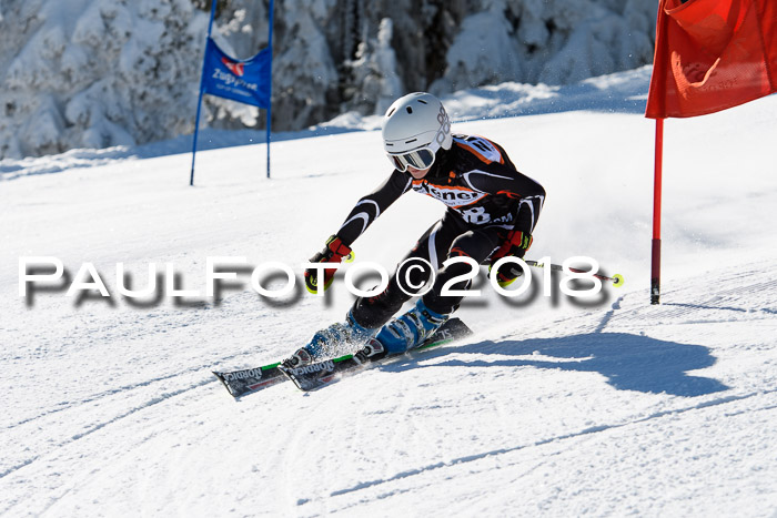 Ziener Cup WF, Finale, Quali + Parallelslalom, 24.03.2018