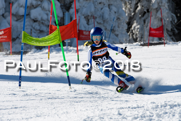 Ziener Cup WF, Finale, Quali + Parallelslalom, 24.03.2018