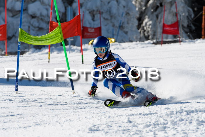 Ziener Cup WF, Finale, Quali + Parallelslalom, 24.03.2018