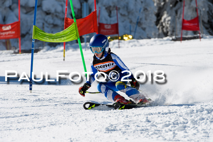 Ziener Cup WF, Finale, Quali + Parallelslalom, 24.03.2018