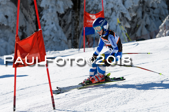 Ziener Cup WF, Finale, Quali + Parallelslalom, 24.03.2018