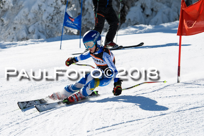 Ziener Cup WF, Finale, Quali + Parallelslalom, 24.03.2018