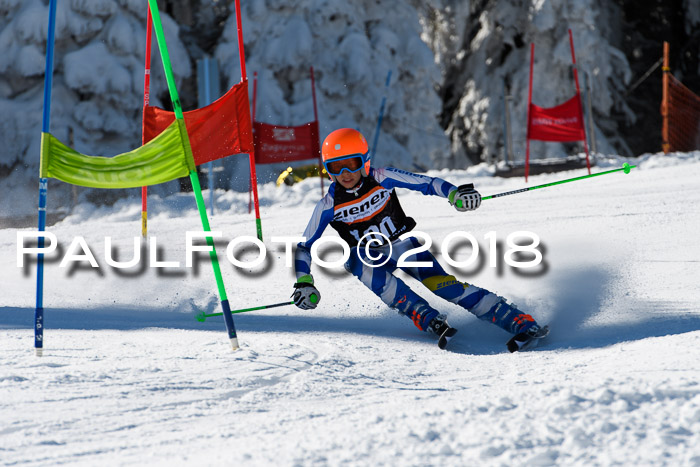 Ziener Cup WF, Finale, Quali + Parallelslalom, 24.03.2018