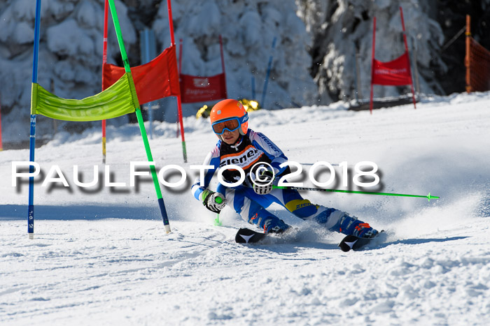 Ziener Cup WF, Finale, Quali + Parallelslalom, 24.03.2018