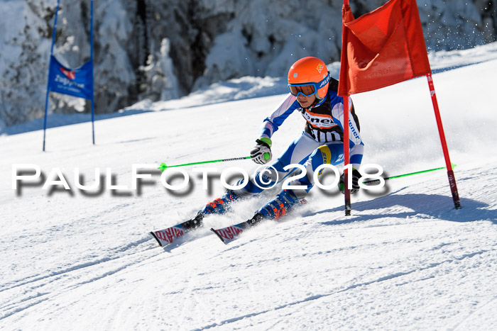 Ziener Cup WF, Finale, Quali + Parallelslalom, 24.03.2018