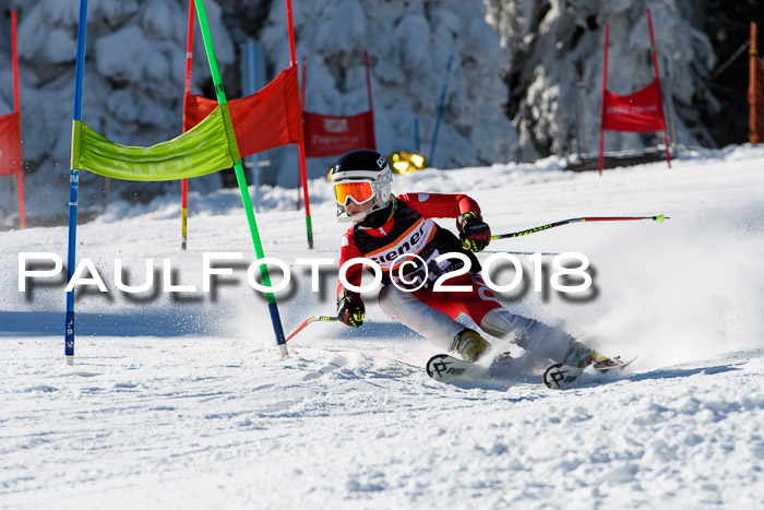 Ziener Cup WF, Finale, Quali + Parallelslalom, 24.03.2018