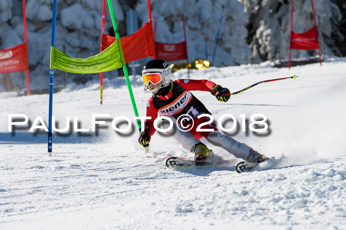 Ziener Cup WF, Finale, Quali + Parallelslalom, 24.03.2018