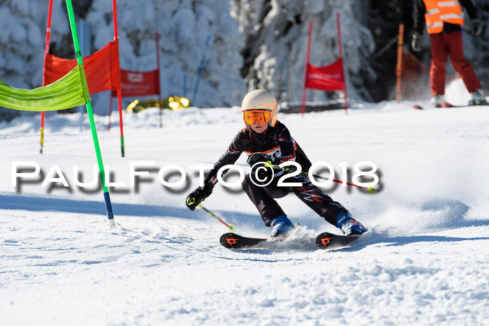 Ziener Cup WF, Finale, Quali + Parallelslalom, 24.03.2018