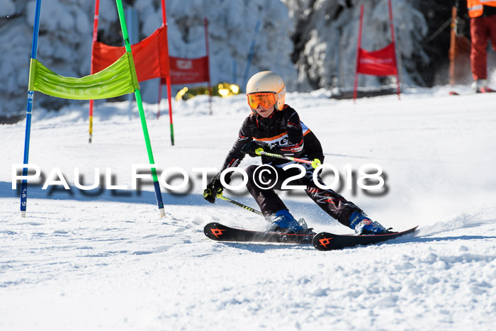 Ziener Cup WF, Finale, Quali + Parallelslalom, 24.03.2018