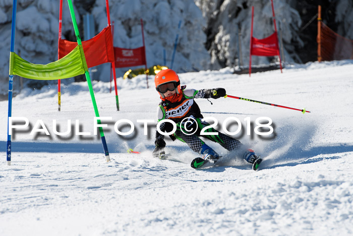 Ziener Cup WF, Finale, Quali + Parallelslalom, 24.03.2018