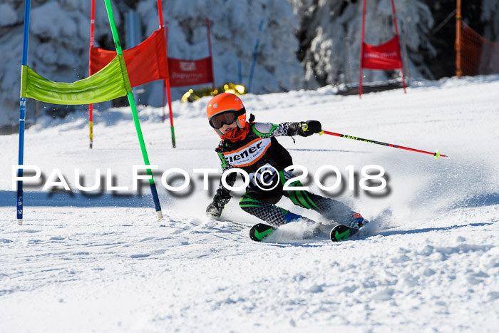 Ziener Cup WF, Finale, Quali + Parallelslalom, 24.03.2018