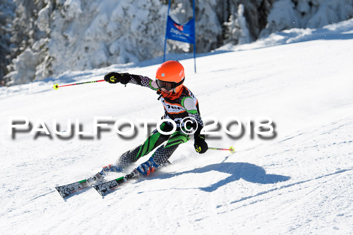 Ziener Cup WF, Finale, Quali + Parallelslalom, 24.03.2018