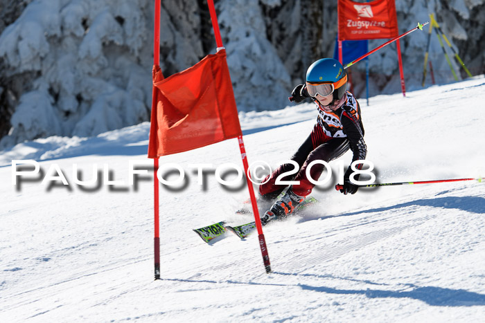 Ziener Cup WF, Finale, Quali + Parallelslalom, 24.03.2018