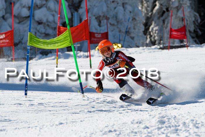 Ziener Cup WF, Finale, Quali + Parallelslalom, 24.03.2018