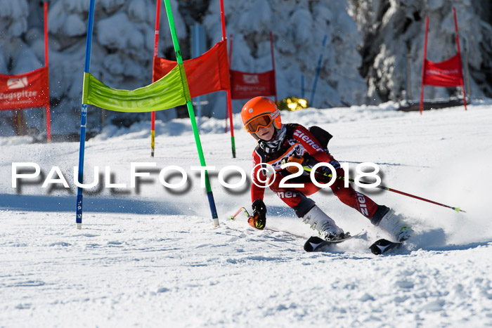 Ziener Cup WF, Finale, Quali + Parallelslalom, 24.03.2018