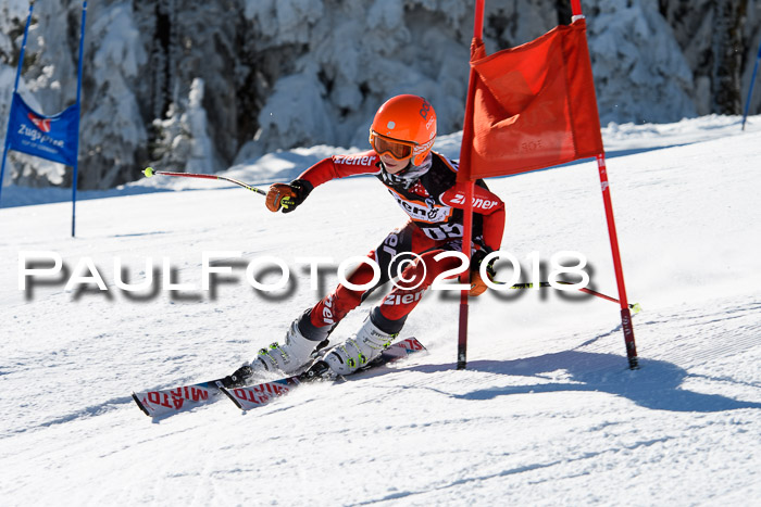 Ziener Cup WF, Finale, Quali + Parallelslalom, 24.03.2018