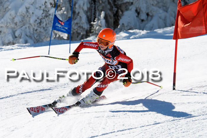 Ziener Cup WF, Finale, Quali + Parallelslalom, 24.03.2018