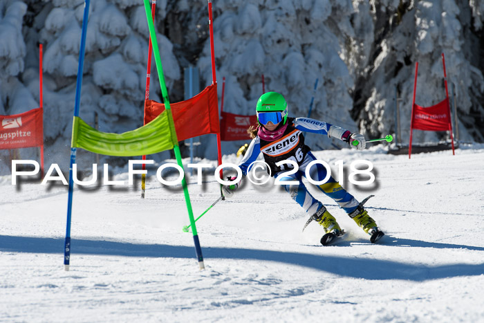 Ziener Cup WF, Finale, Quali + Parallelslalom, 24.03.2018