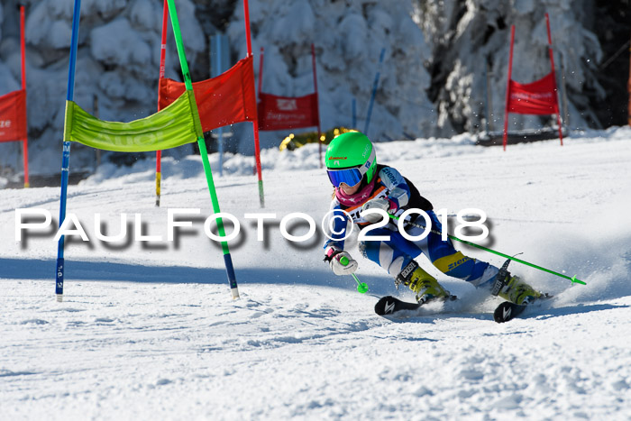 Ziener Cup WF, Finale, Quali + Parallelslalom, 24.03.2018