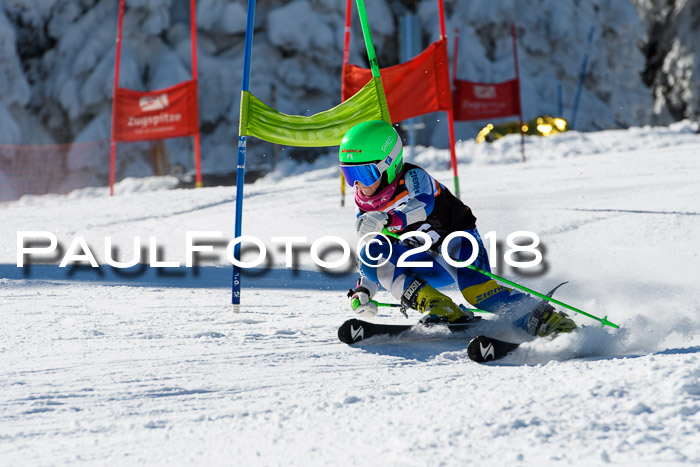 Ziener Cup WF, Finale, Quali + Parallelslalom, 24.03.2018