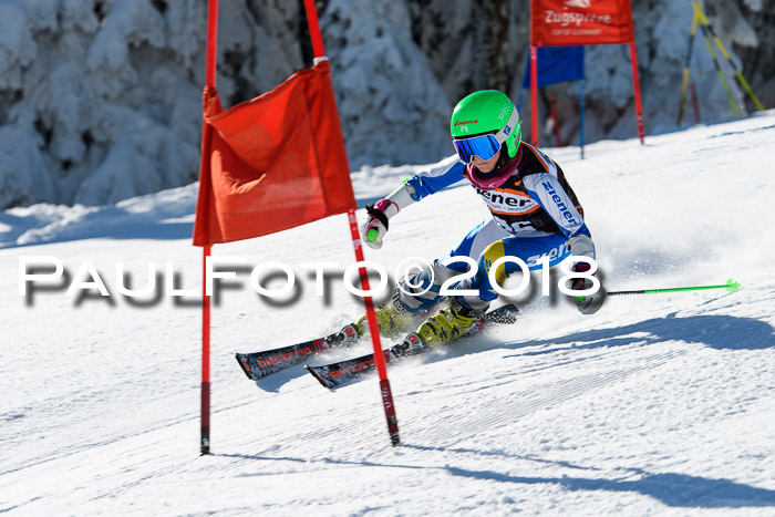 Ziener Cup WF, Finale, Quali + Parallelslalom, 24.03.2018